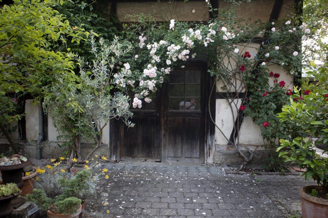 Villaflora Gaestehaus